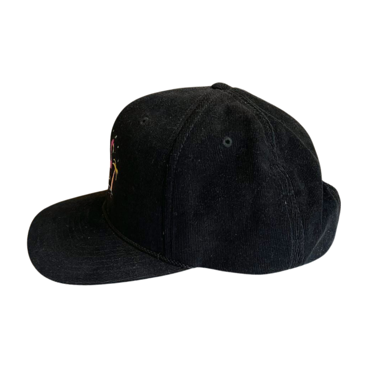 Goose Mislabeled Corduroy Snap-back Hat